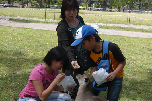 ARET Australian Recreation and Educational Tours - Special Interests family-feeding-kangaroo